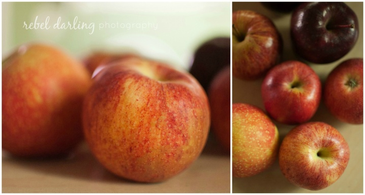 apple+autumn_blog_rebeldarlingphoto-12