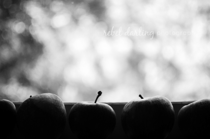 apple+autumn_blog_rebeldarlingphoto-2