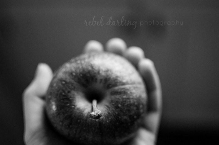 apple+autumn_blog_rebeldarlingphoto-3